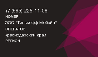 9952251106